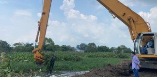 Cirilo Vázquez supervisa trabajos de desazolve de arroyos y canales en Cosoleacaque
