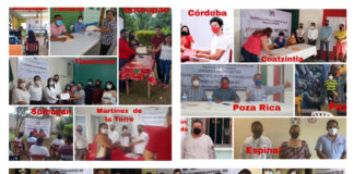 Solicitan registro integrantes de las planillas aspirantes a presidir comités seccionales del PRI en Veracruz