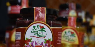 Hecho en Veracruz logra presencia en cadena internacional de autoservicio: SEDECOP