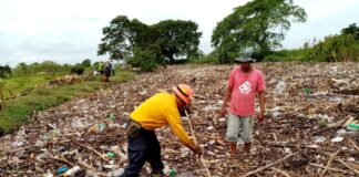 SEDEMA ha retirado 30 toneladas de palizada y 1.4 de PET en el río Blanco