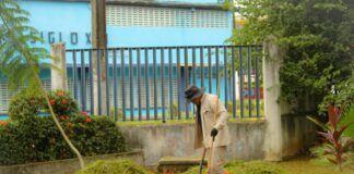 Realiza Ornatos poda y limpieza en Biblioteca Viriato Da Silveira de Minatitlán