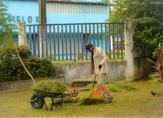 Realiza Ornatos poda y limpieza en Biblioteca Viriato Da Silveira de Minatitlán