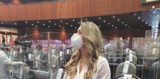 Agenda legislativa del PRI apoyará necesidades de las familias: Anilú Ingram