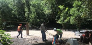 Participa SEDEMA en rescate del «Santuario de las Garzas»