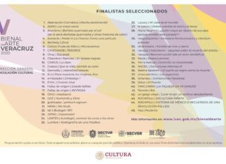 Presenta IVEC resultados de la V Bienal de Arte Veracruz 2020