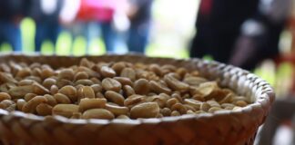 Imparten SEDARPA y Agroclúster de Oaxaca seminario de cafeticultura sustentable
