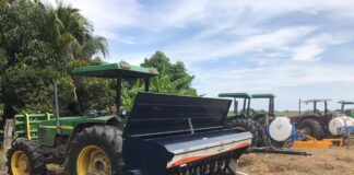 Otorga Gobierno de Veracruz subsidio del 70% a productores de la Cuenca del Papaloapan