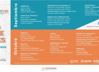 Ofrece IVEC talleres para emprendedores culturales, en el marco del MECCVER 2020