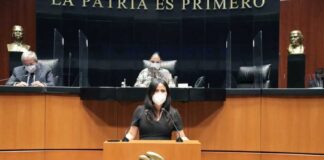 Gobierno de Veracruz rebasados por inseguridad, urge intervención federal: Indira