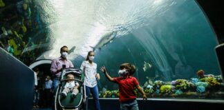 Invita Fernando Yunes a impulsar la economía en el municipio