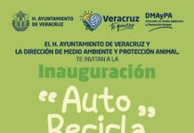 Ayuntamiento de Veracruz invita a participar en la campaña “Auto-Recicla”