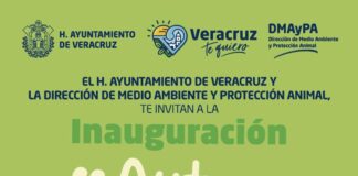 Ayuntamiento de Veracruz invita a participar en la campaña “Auto-Recicla”