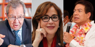 Muñoz Ledo, Polevnsky, Delgado y Attolini pasan a la ‘siguiente ronda’ de elección de dirigencia de Morena