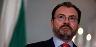MIT defiende a Videgaray tras solicitud de destitución: «es un colaborador valioso»