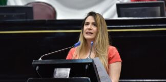 En riesgo la democracia en Veracruz: GLPAN