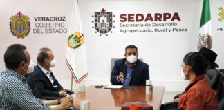 Plantea SEDARPA esquema de financiamiento para capitalizar al sector cafetalero