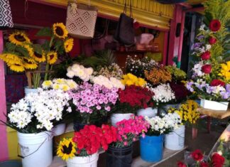 Ayuntamiento de Minatitlán informa que en celebraciones de santos difuntos la venta de flores será únicamente en expendios