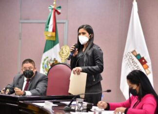 Solicita Diputada Magaly Armenta apoyo gubernamental a taxistas del Estado