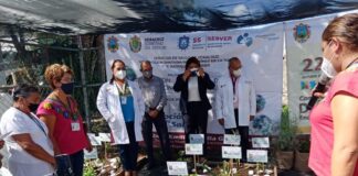 Medicina tradicional, alternativa para la atención integral de los pueblos originarios