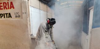Fumigan mercados populares de Minatitlán Fumigación preventiva en el mercado Santa Clara de Minatitlán
