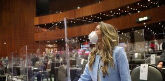 Urgente que presupuesto 2021 atienda la emergencia nacional del feminicidio: Anilú Ingram