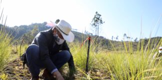Bajo asesoría de expertos, avanza reforestación de la reserva San Juan del Monte: Cuitláhuac García