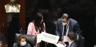 Presupuesto de Egresos 2021 no contempla necesidades urgentes: Indira Rosales