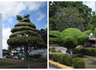 Contribuye Ornatos al embellecimiento de Minatitlán