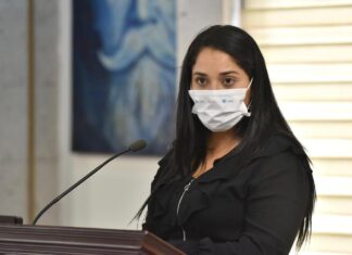 Presenta la diputada Brianda Kristel Hernández iniciativa que busca reformar la Ley de Fomento Económico para el Estado.