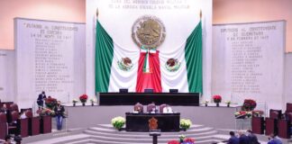 Ingobernabilidad, sello del gobierno de Veracruz: GLPAN