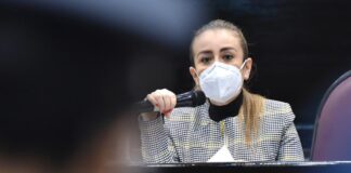 En Veracruz la percepción de inseguridad crece: GLPAN