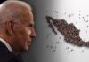¿Qué puede esperar México si gana Biden?