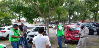 Baja tasa de casos de dengue en Tuxpan, en el año se han registrado 35