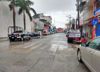 Contribuye Ayuntamiento de Minatitlán con campaña de esterilización de mascotas