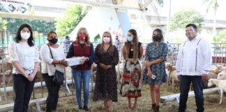 Con entrega de proyectos productivos, familias del norte de Veracruz mejorarán sus ingresos económicos