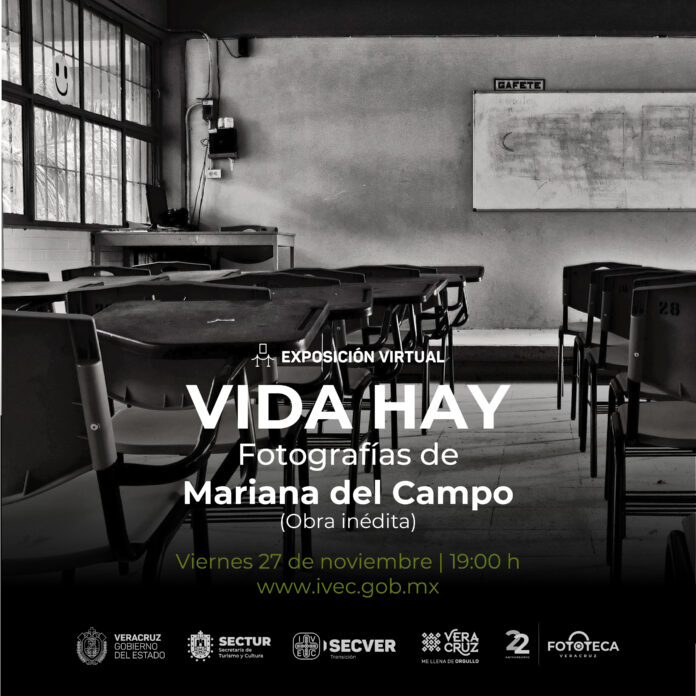 VIDA HAY (1)