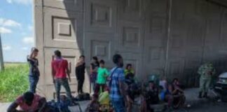 Rescata SSP a 151 migrantes en Operativo Interestatal Veracruz-Tabasco; siete presuntos traficantes detenidos Migrantes rescatados por autoridades en el sur de Veracruz