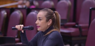 Estudiantes y maestros, sin solución del gobierno para tomar clases en línea: GLPAN