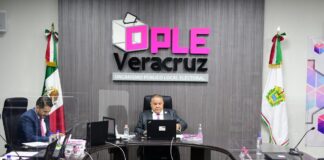 OPLE aprueba la Convocatoria para Integrar los Consejos Distritales y Municipales