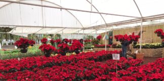 Comercializan agricultores 49.5 toneladas de productos, mediante jornadas de Consumo Solidario