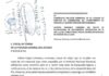 Denuncian a director de Gobernación de Veracruz por presuntamente falsificar documentos a favor de Miguel Yunes Márquez Denuncian a director de Gobernación de Veracruz.