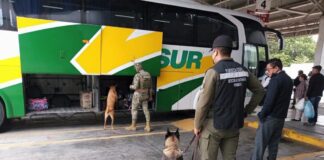 En el sur, más de 2 mil 200 dosis de droga, vehículos y armas asegurados: SSP En el sur, más de 2 mil 200 dosis de droga, vehículos y armas asegurados: SSP