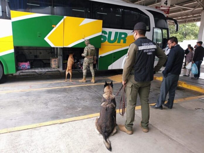 En el sur, más de 2 mil 200 dosis de droga, vehículos y armas asegurados: SSP