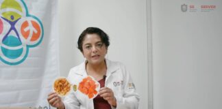 Fortalece Veracruz el Programa Estatal contra la Obesidad en población infantil