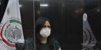 Reforma a industria eléctrica traerá electricidad más cara y contaminante: Indira Rosales