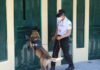 Continua el diplomado internacional K9 en Amatlán de los Reyes