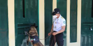 Continua el diplomado internacional K9 en Amatlán de los Reyes