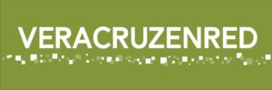 VERACRUZ EN RED