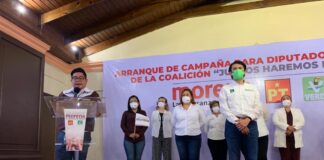 Ofrece Partido Verde cambios históricos con diputaciones federales