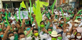 Pretende Partido Verde votación histórica en Veracruz